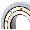 FAG Ceramic Coating 6313-M-J20AA-C5 Current-Insulated Bearings #1 small image